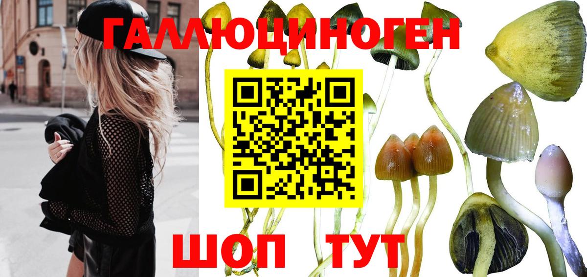 Псилоцибиновые грибы Cubensis  Вход с VPN  что такое   Верхняя Салда 